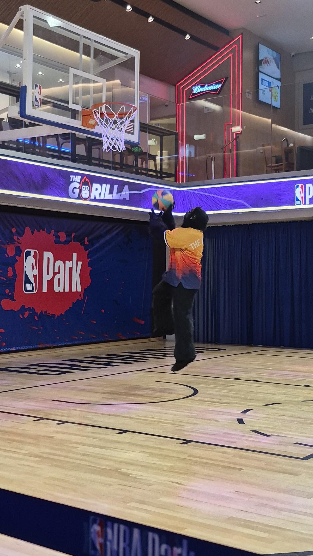 NBA Park Gramado I Parque Temático